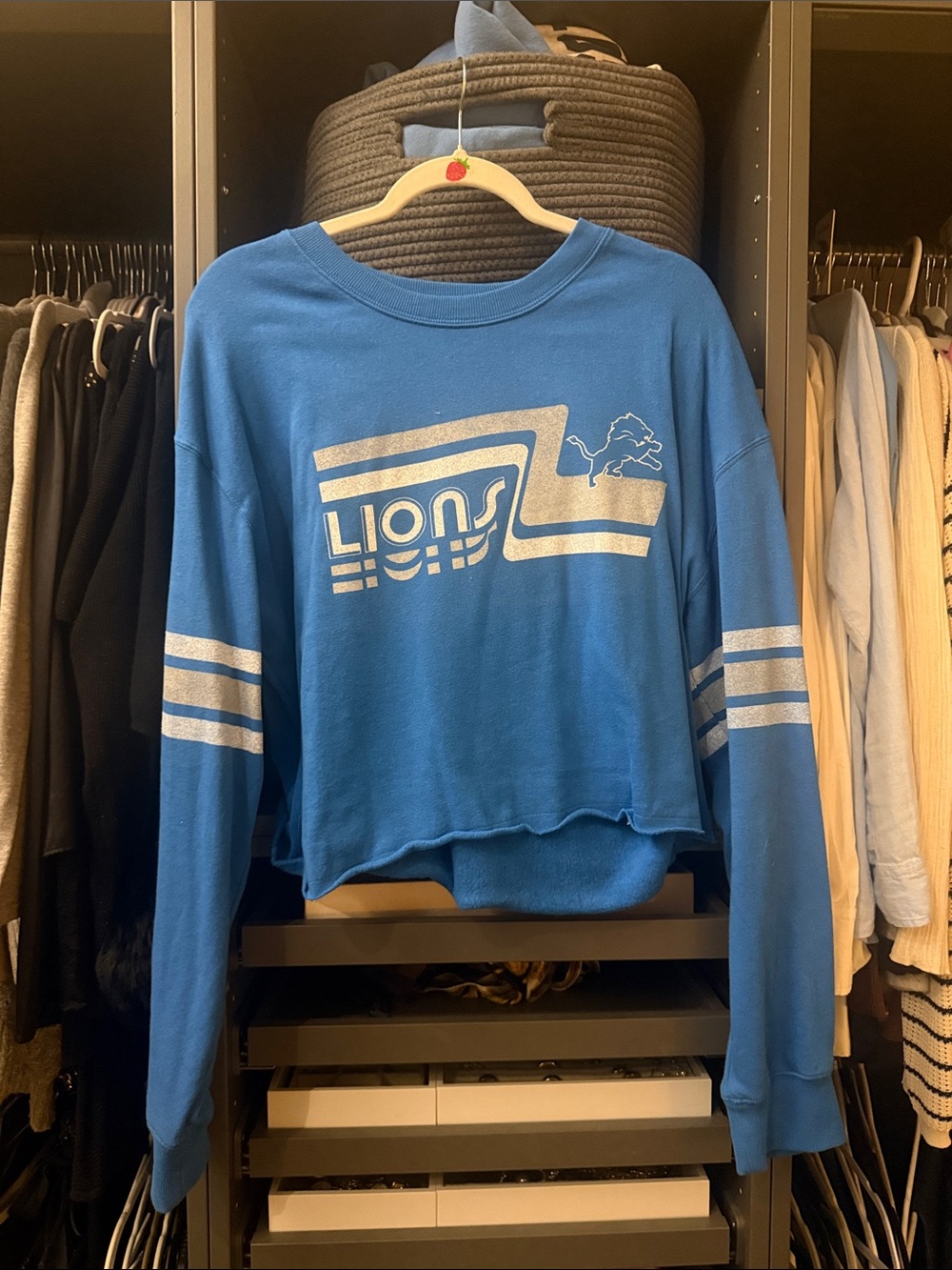 Vintage Blue Lions Cropped Sweatshirt